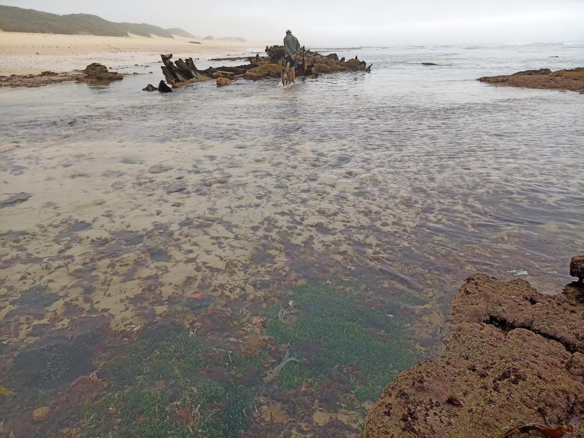 Beached House On Golden Sanddunes Cannon Rocks ภายนอก รูปภาพ
